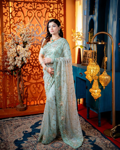 Mint Mehr mint karchupi saree full front view by Rinaz Bangladesh